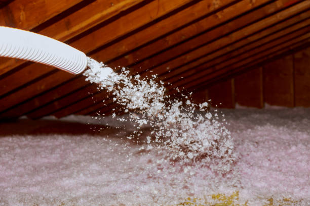 Best Residential Insulation in Picture Rocks, AZ