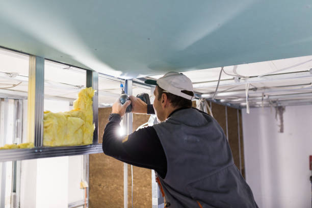 Best Types of Insulation in Picture Rocks, AZ